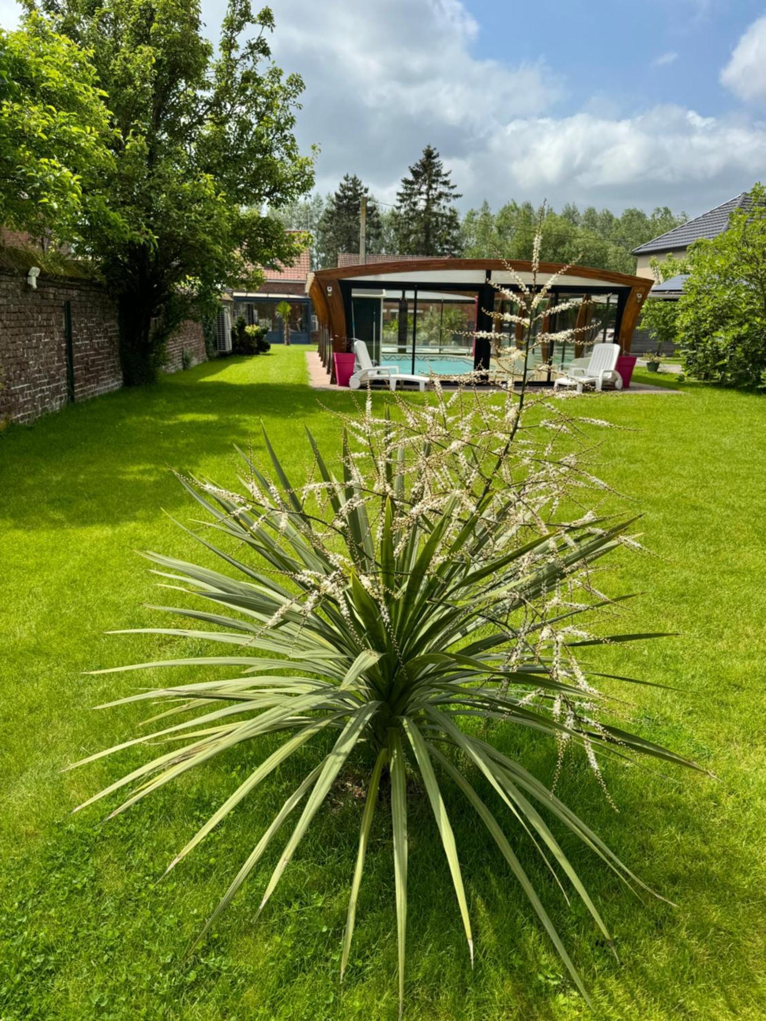 Gite Avec Piscine Appartement Lestrem Buitenkant foto