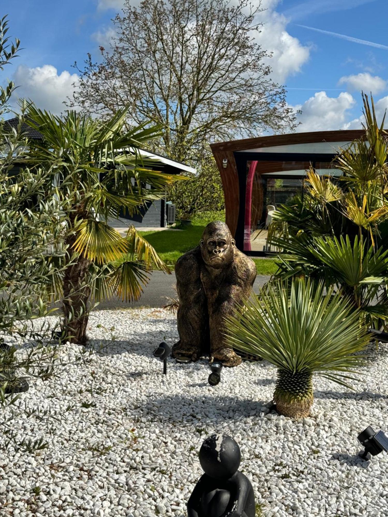 Gite Avec Piscine Appartement Lestrem Buitenkant foto